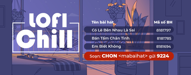 LOFI CHILL - TEAMFUNRING T4
